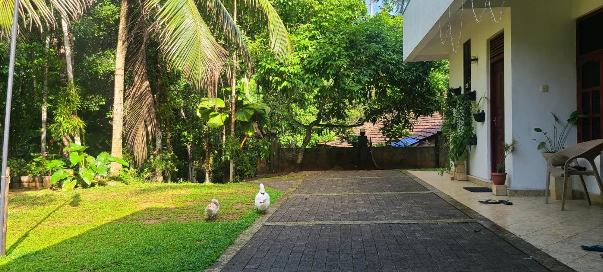 'Kolamba Gedara' Green Apartment Ruwanwella Kültér fotó